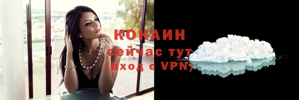 ALPHA PVP Костерёво